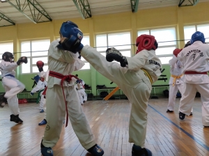Taekwondo Toruń Gromowski24 (1)
